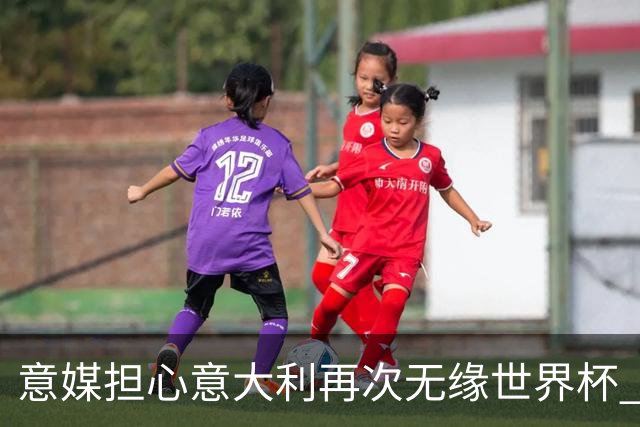 意媒担心意大利再次无缘世界杯 名帅批球队飘了